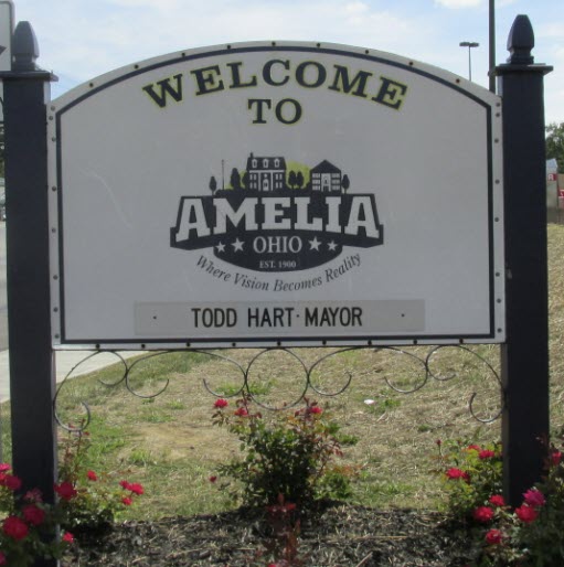 Amelia’s Beginnings